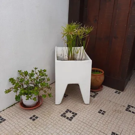 Sofia * فوز دو أريلهو