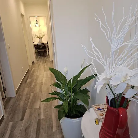 Sofia بيت للعطل *