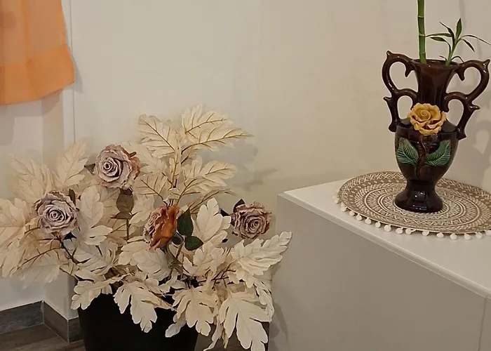 Sofia Сasa de vacaciones